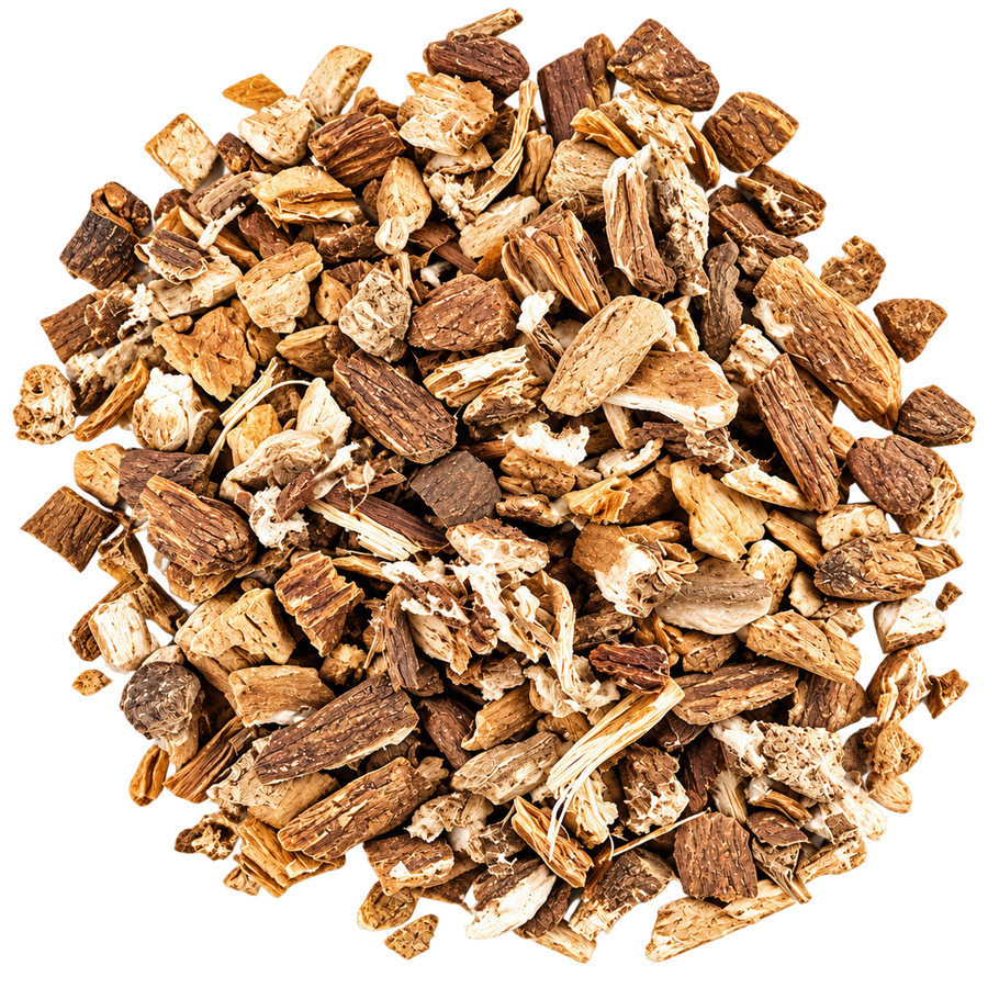 Burdock Root