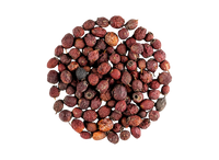 Hawthorn Berry
