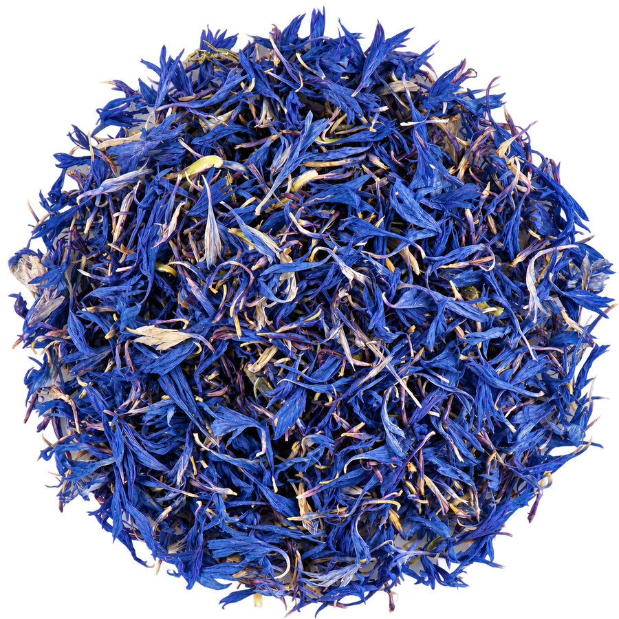 Cornflower