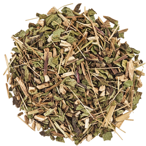 Echinacea