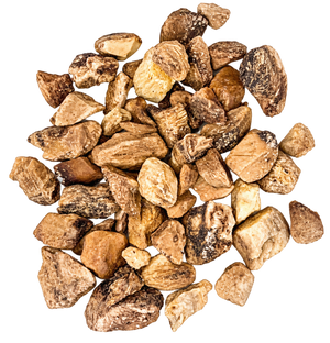 Elecampane Root