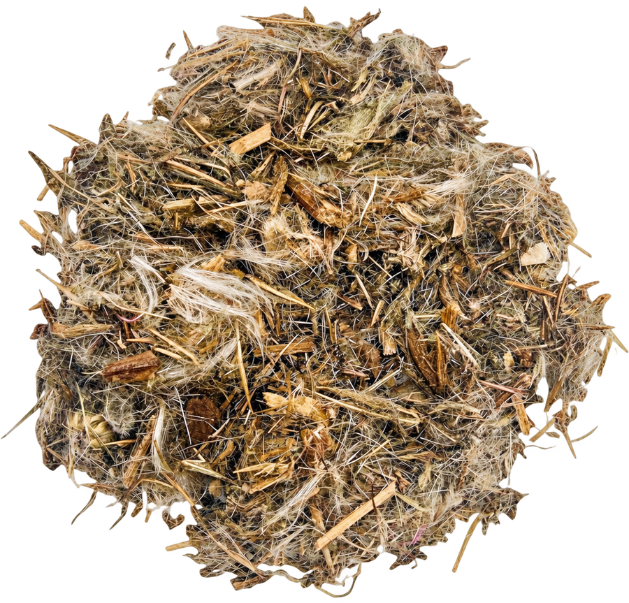 Milk Thistle