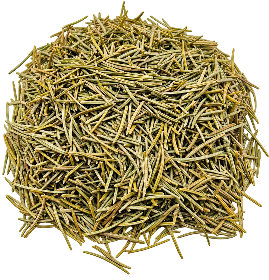 Pine Needle