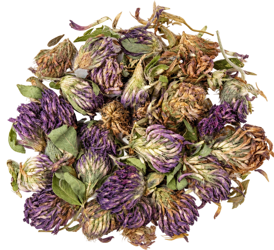 Red Clover