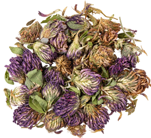 Red Clover