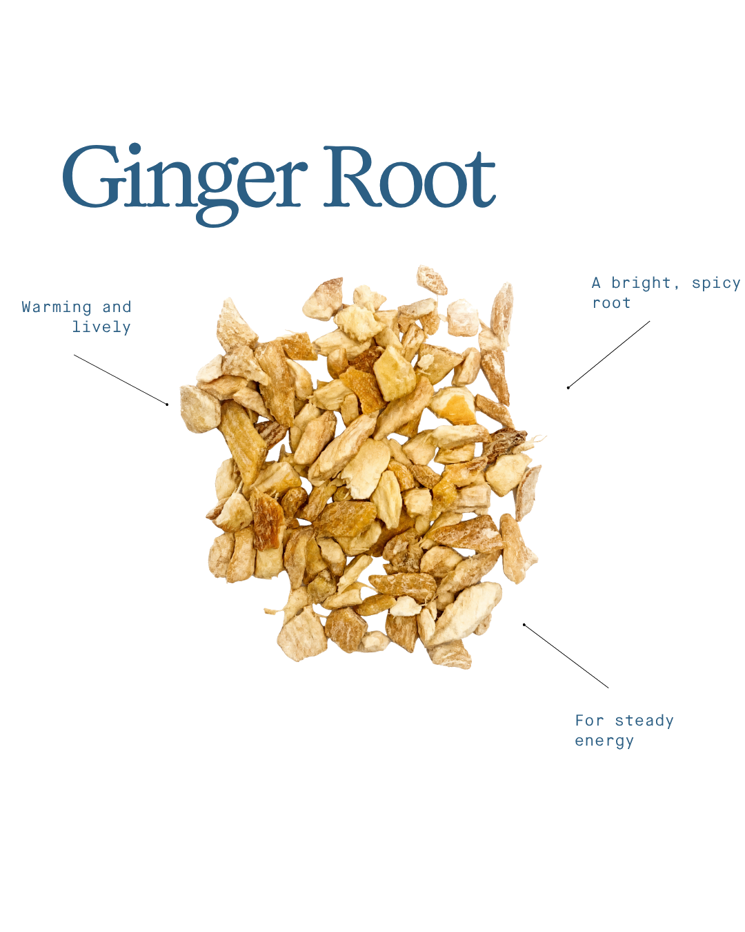 Ginger Root