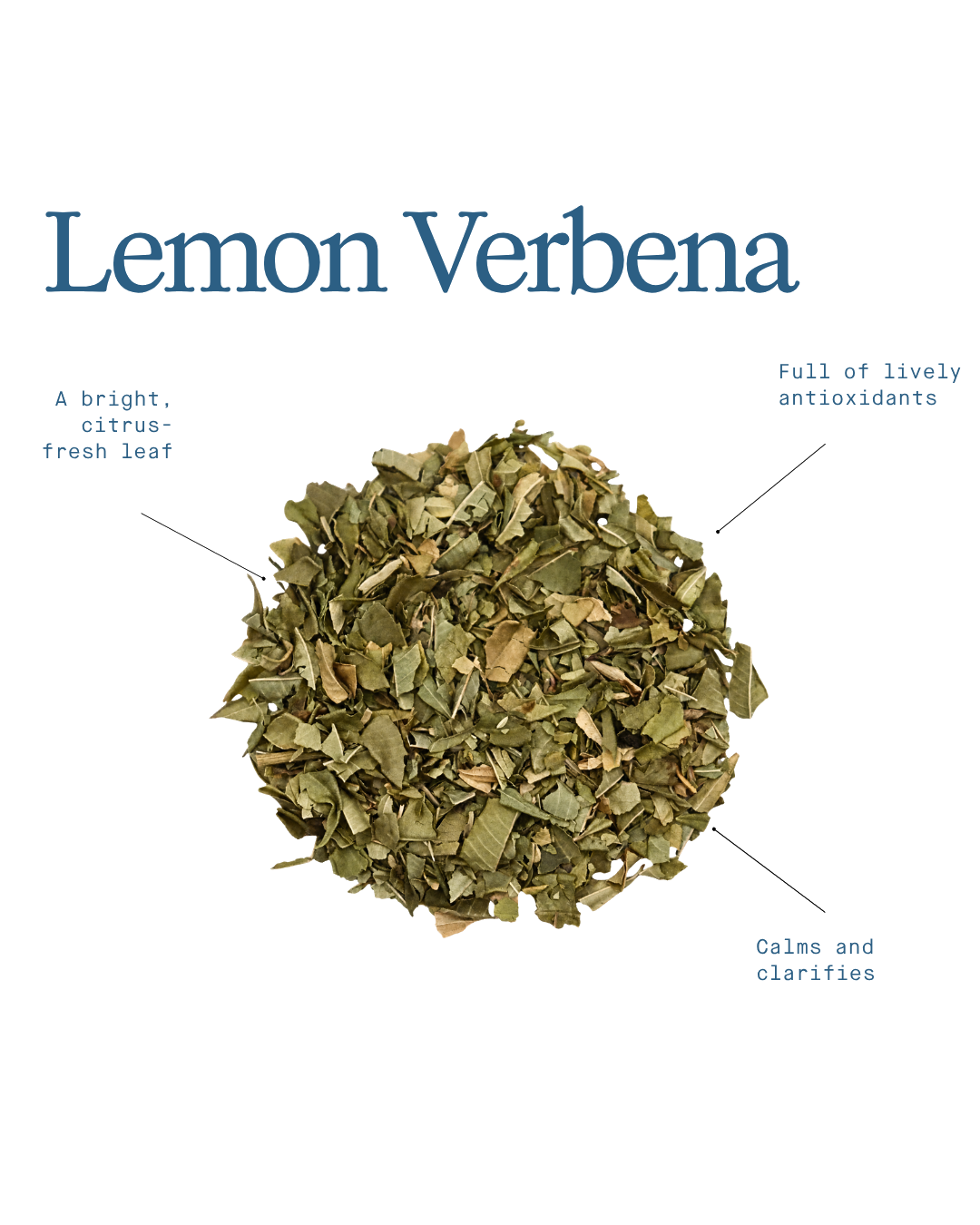 Lemon Verbena