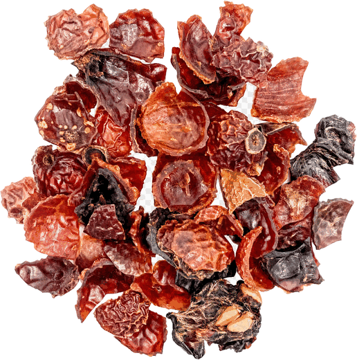 Autumn botanical
