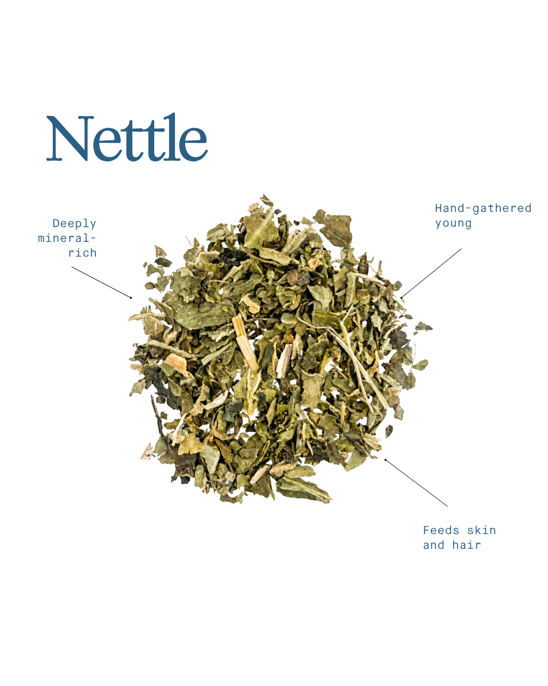 Nettle