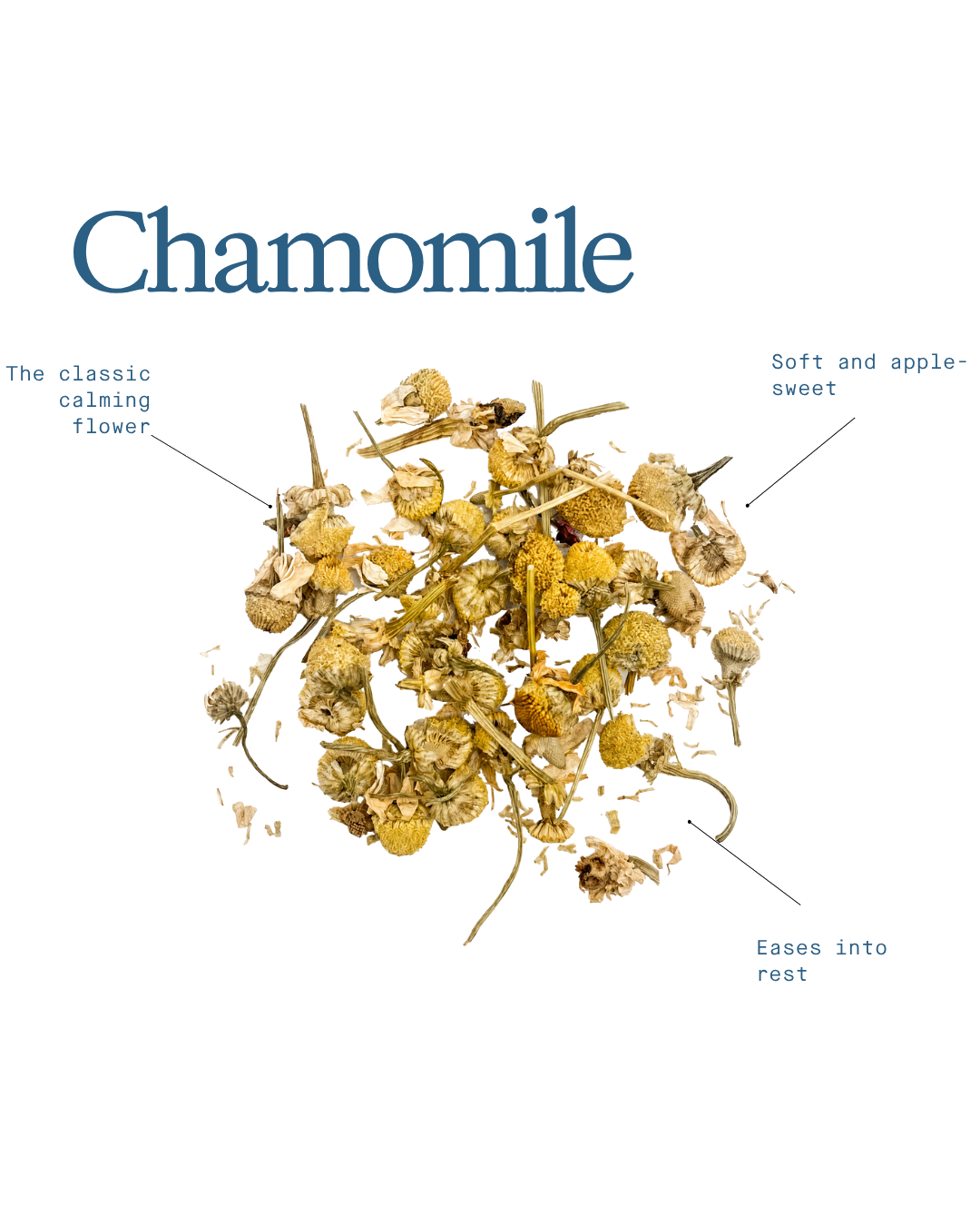 Chamomile