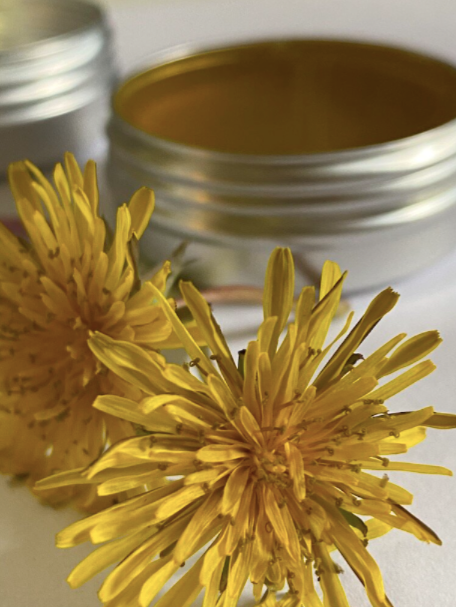 Rosemary Dandelion Salve