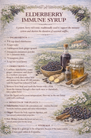 La Vie Tea — Herbal Recipe Book