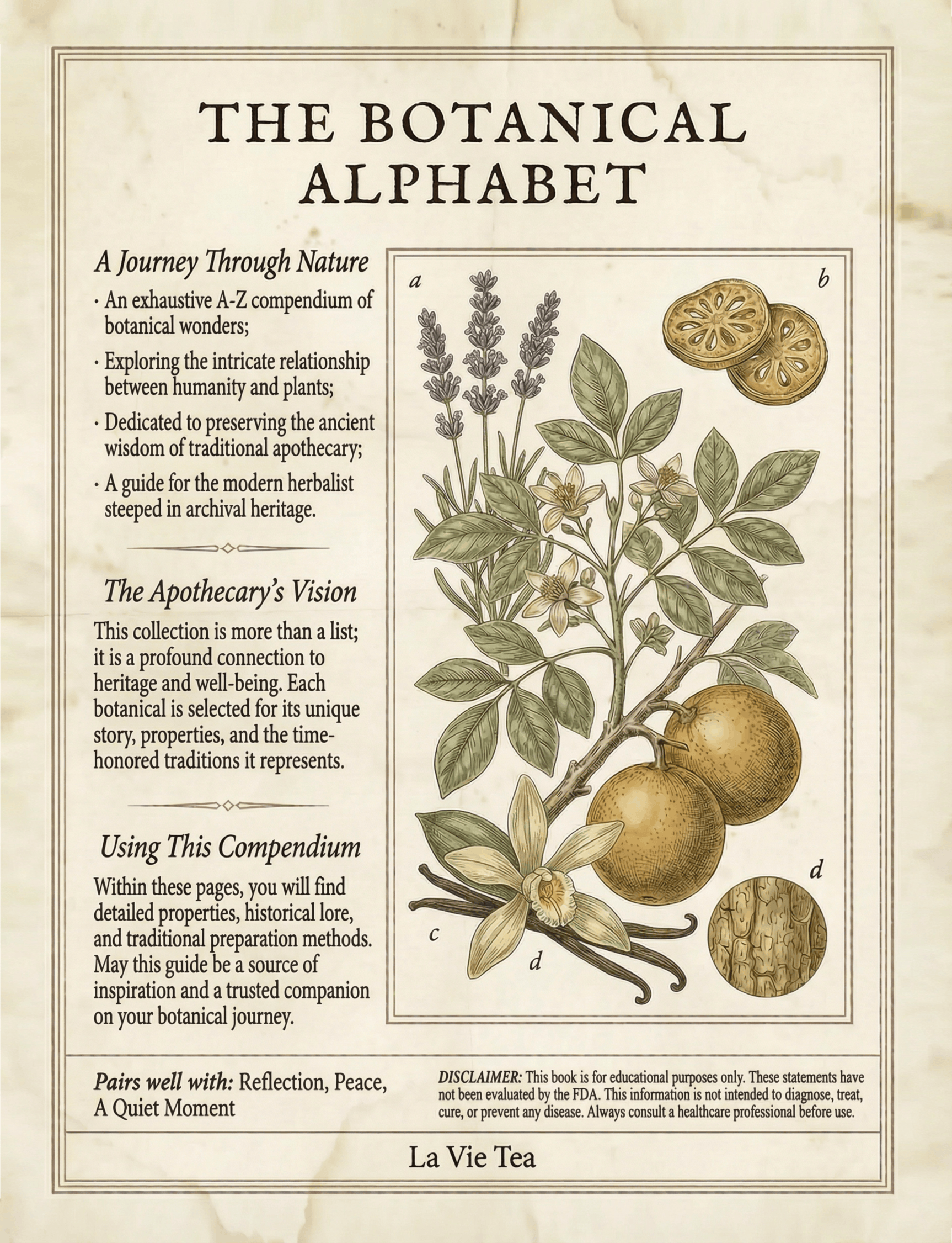 La Vie Tea — The Botanical Alphabet Book Physical Copy