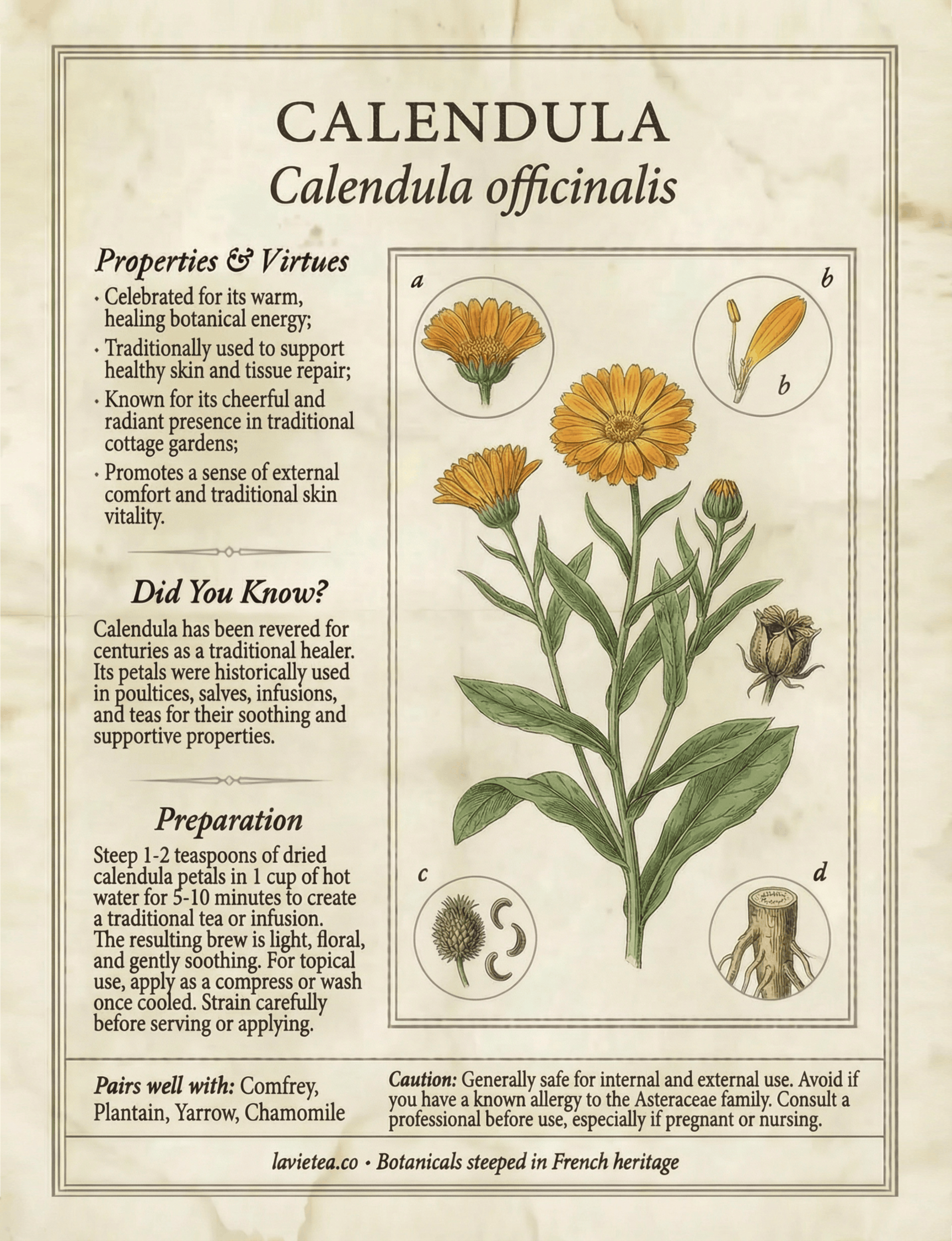La Vie Tea — The Botanical Alphabet Book Physical Copy