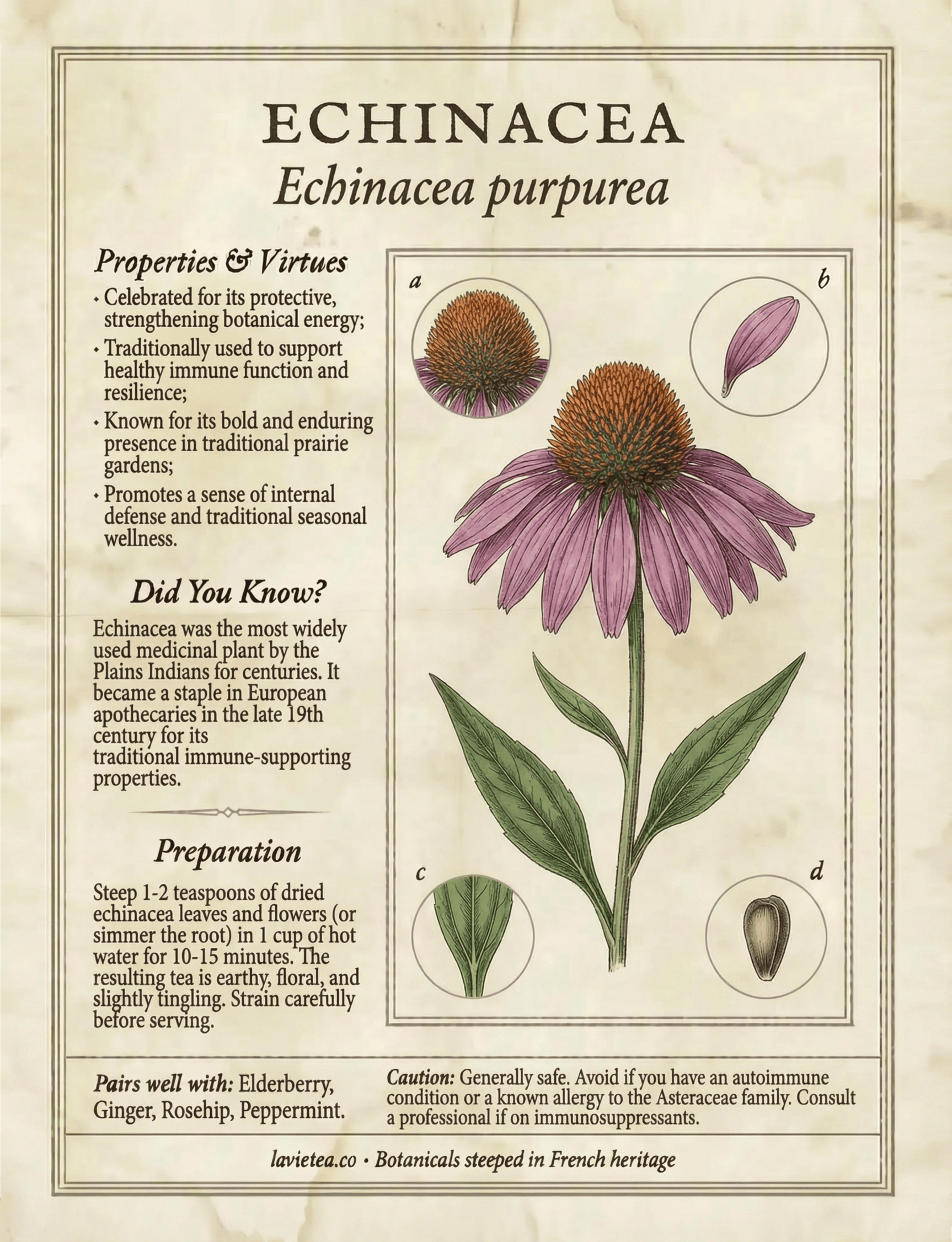 La Vie Tea — The Botanical Alphabet Book Physical Copy