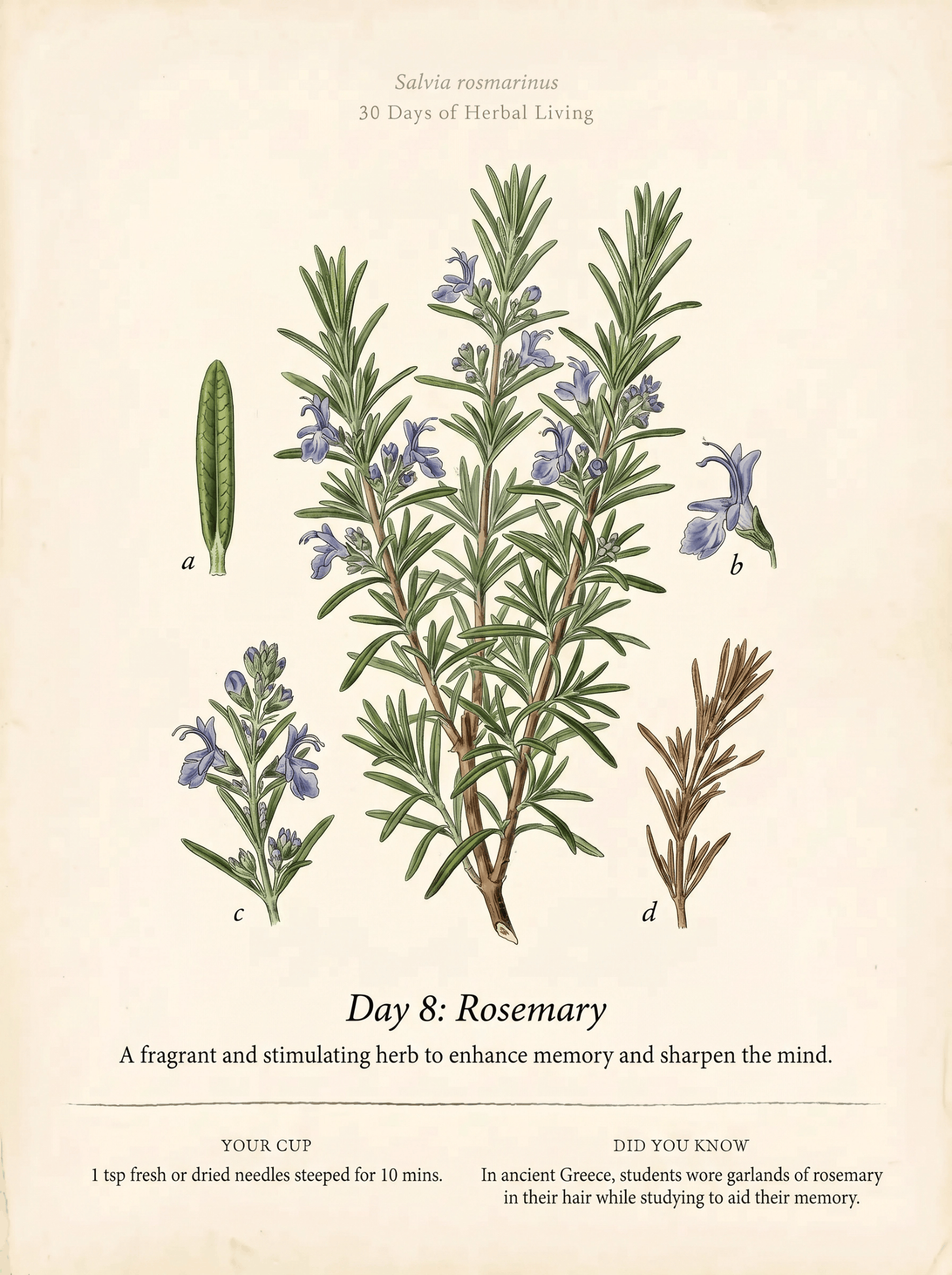 La Vie Tea — 30 Days of Herbal Living E-Book