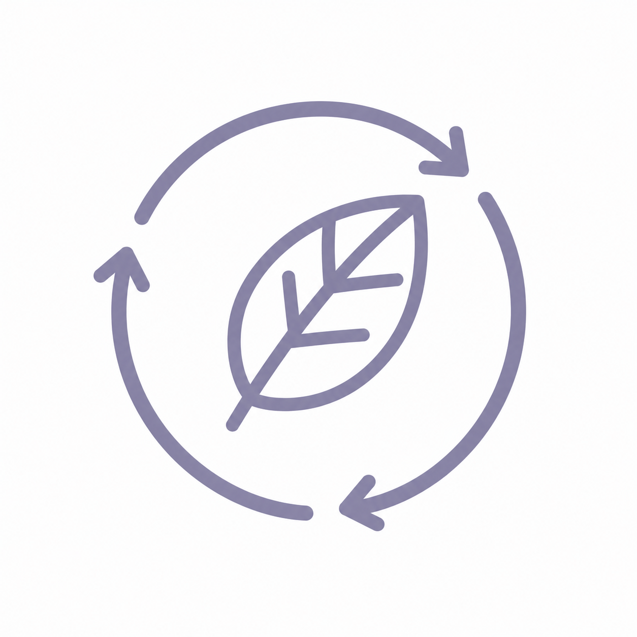 {"loading" => "lazy", "sizes" => nil, "widths" => "165, 360, 535, 750, 1070, 1500"}