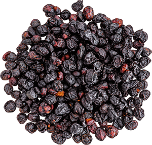 Elderberry