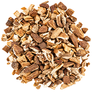 Burdock Root