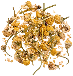 Chamomile Flower