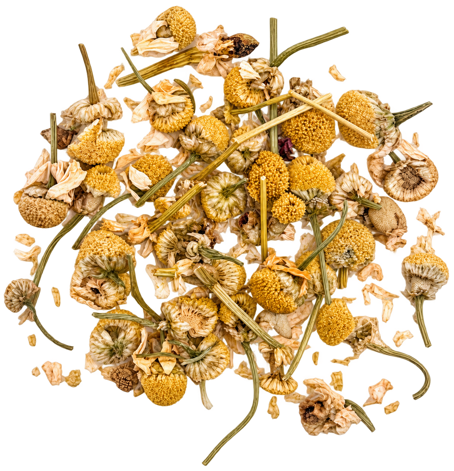 Chamomile Flower