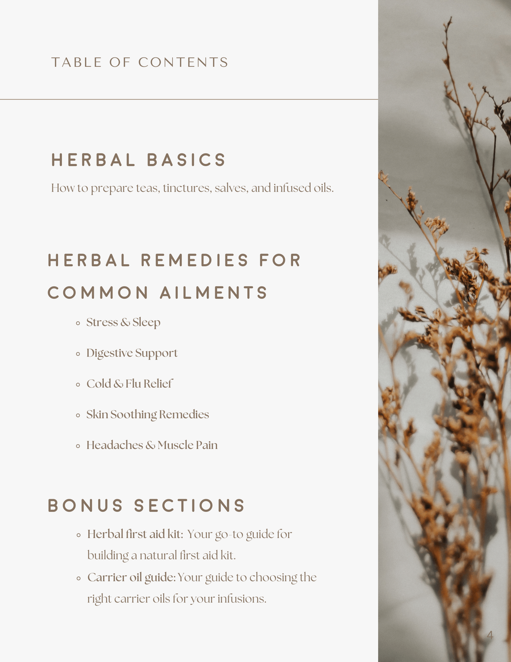 Herbal Remedies for Everyday Ailments E-Book