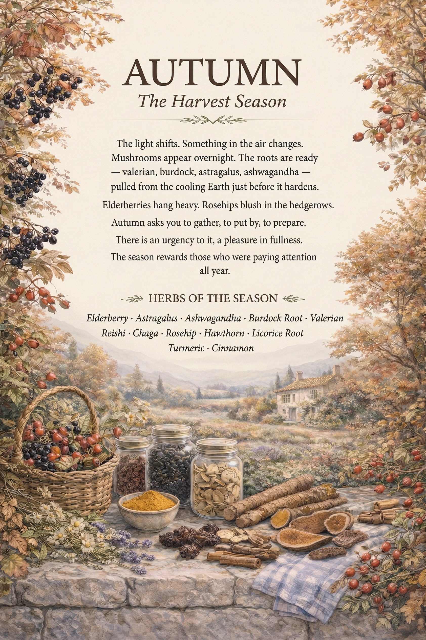 La Vie Tea — The Seasonal Apothecary Soft Cover
