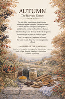 La Vie Tea — The Seasonal Apothecary Soft Cover