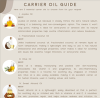 Herbal Remedies for Everyday Ailments E-Book