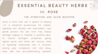 Herbal Beauty From The Inside Out E-Book