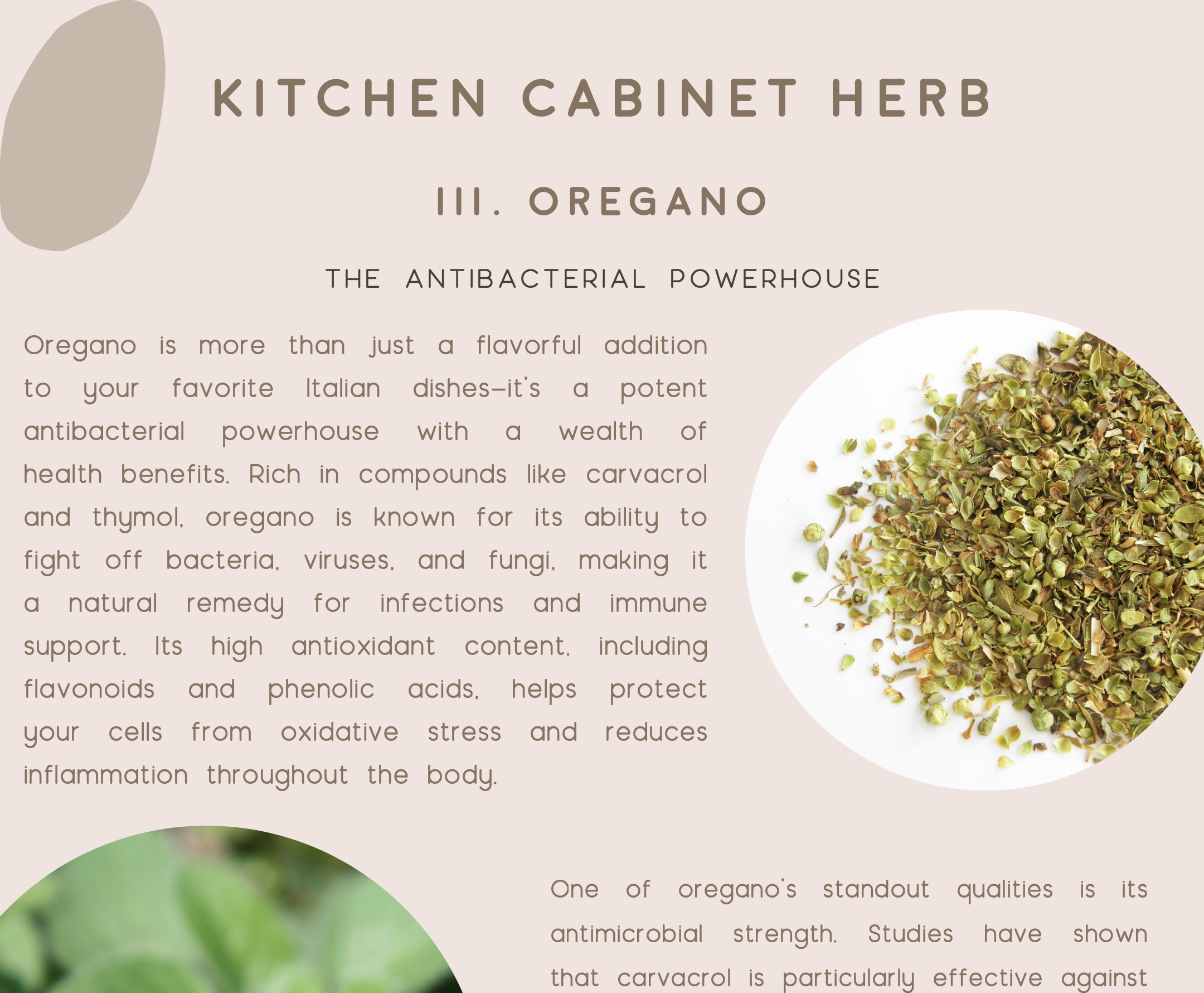 Kitchen Herbs As Medicine E-Book