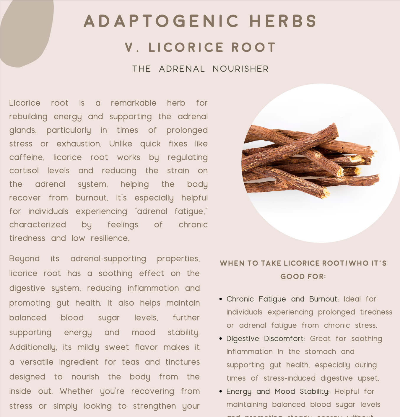 Herbal Remedies For Modern Stress E-Book