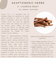 Herbal Remedies For Modern Stress E-Book