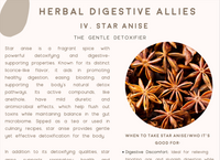 Digestive Wellness: An Herbal Approach E-Book