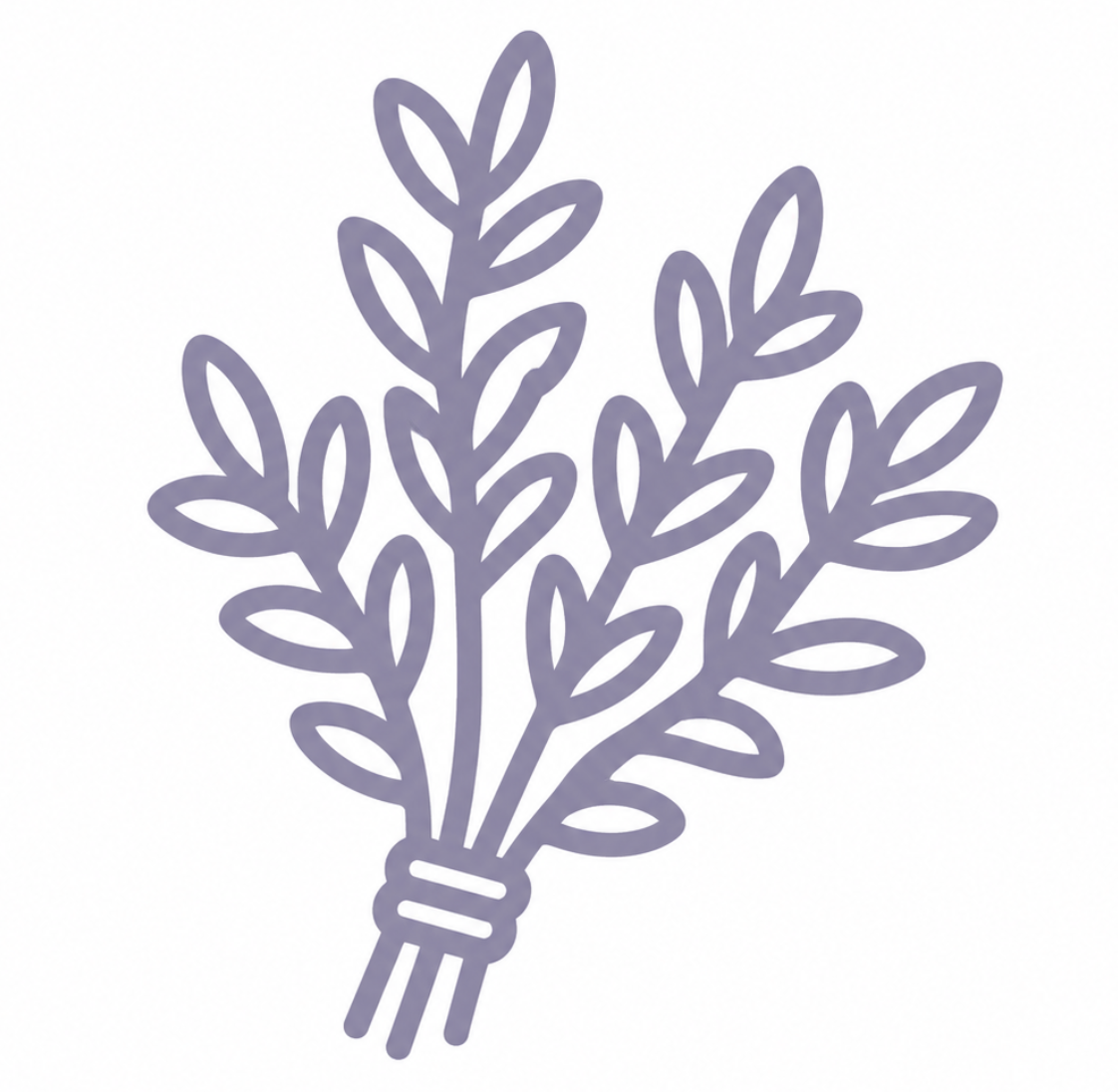 {"loading" => "lazy", "sizes" => nil, "widths" => "165, 360, 535, 750, 1070, 1500"}