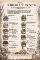 La Vie Tea — The Herbal Kitchen Recipe Book SOFT COVER