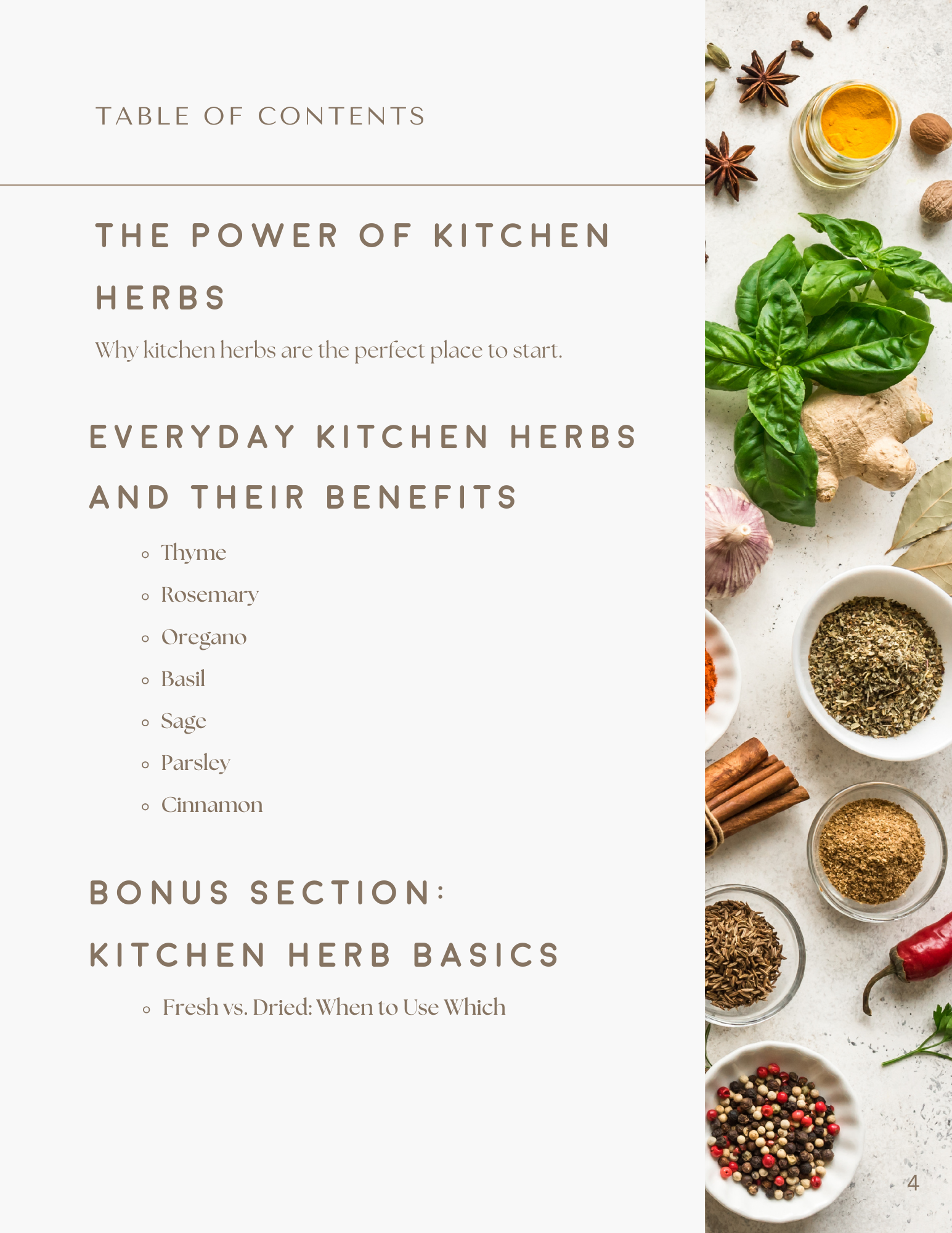 Kitchen Herbs As Medicine E-Book