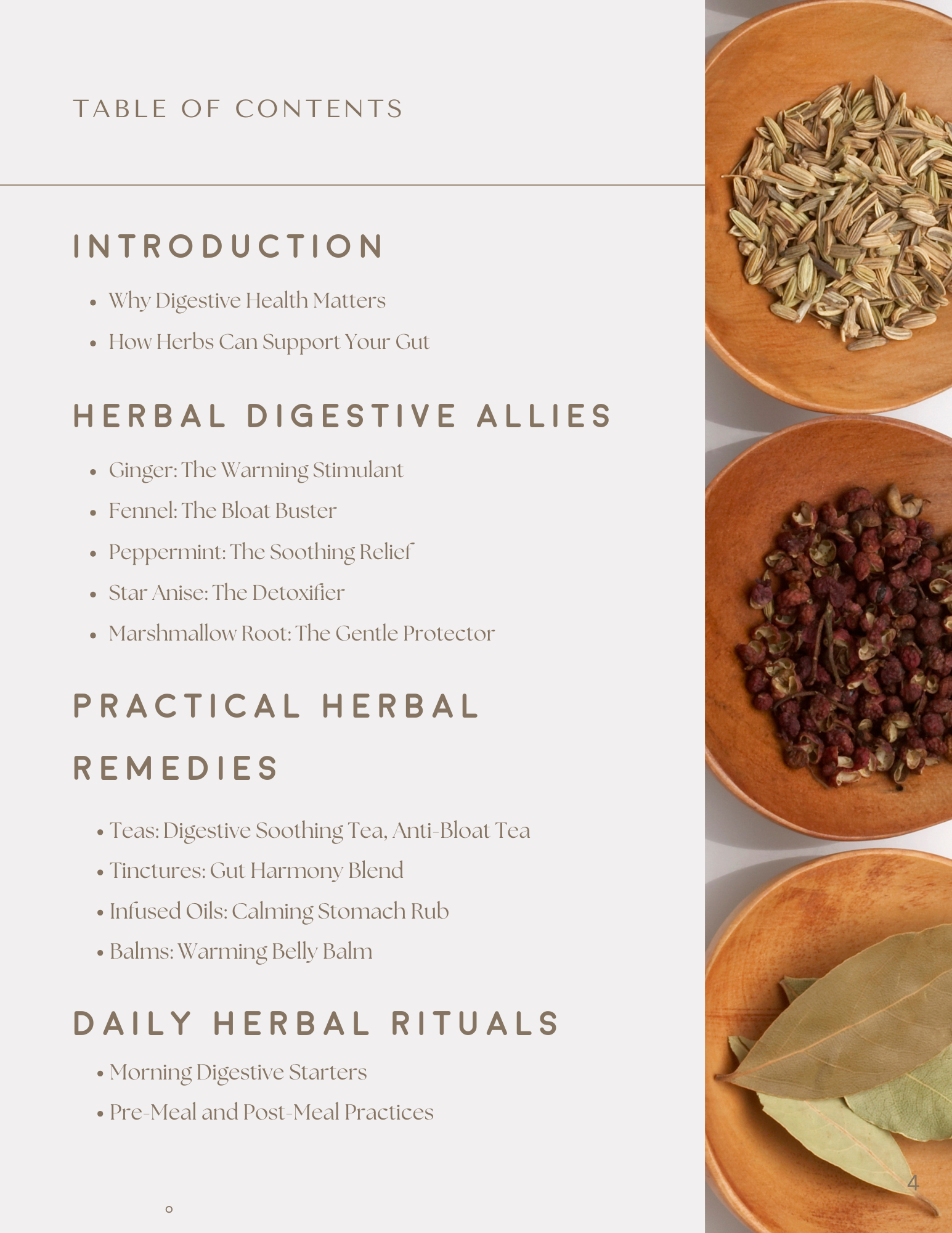 Digestive Wellness: An Herbal Approach E-Book