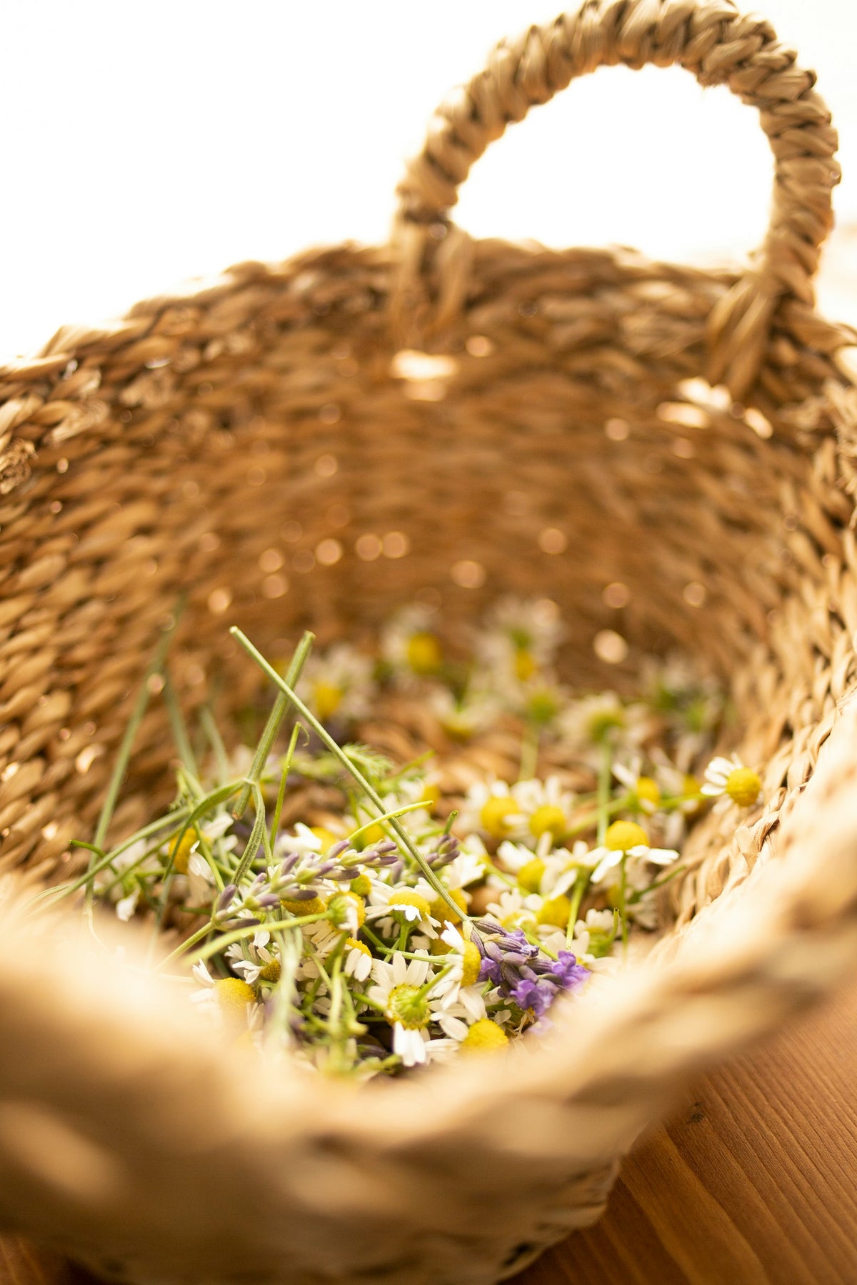 Loose Herbs
