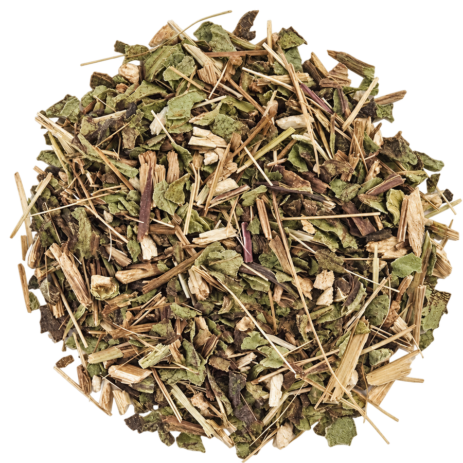 Echinacea