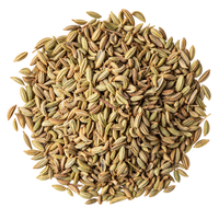 Fennel Seed