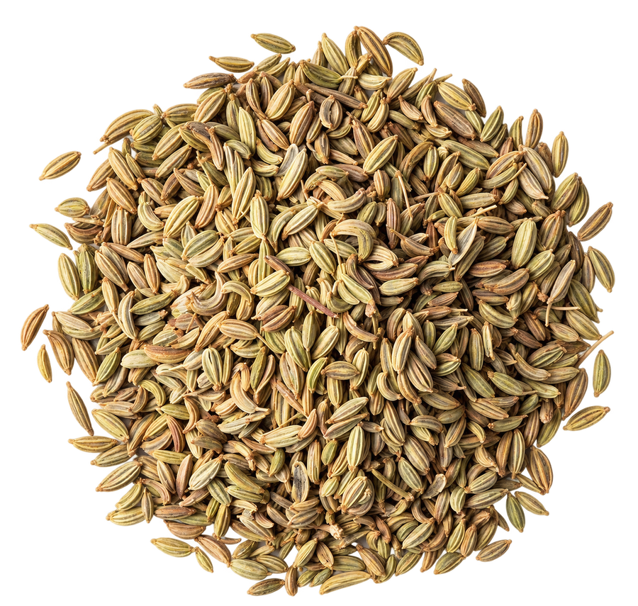 Fennel Seed