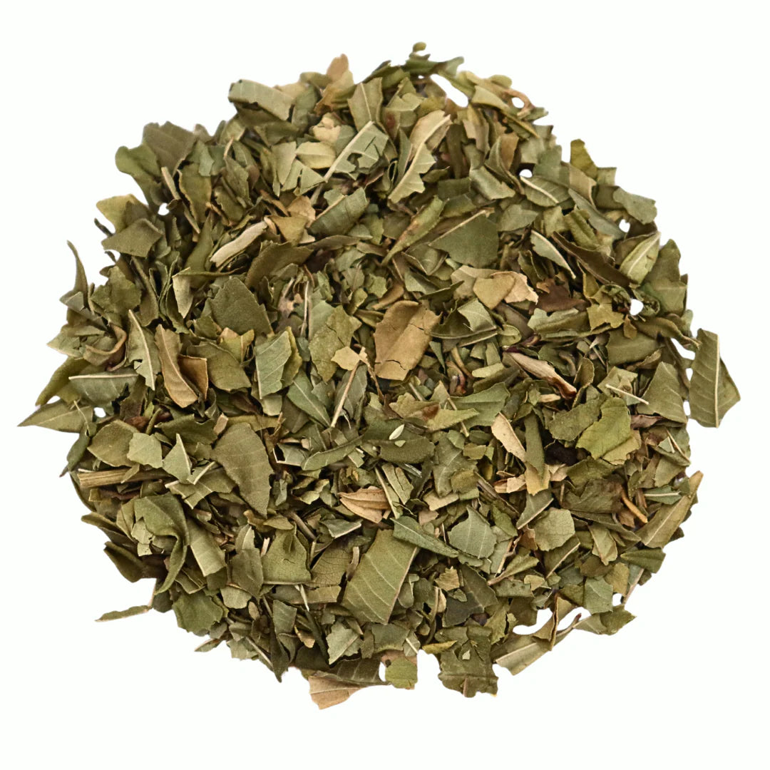 Lemon Verbena