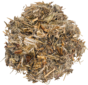 Milk Thistle
