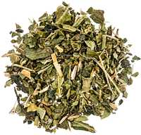 Nettle