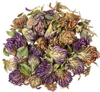 Red Clover