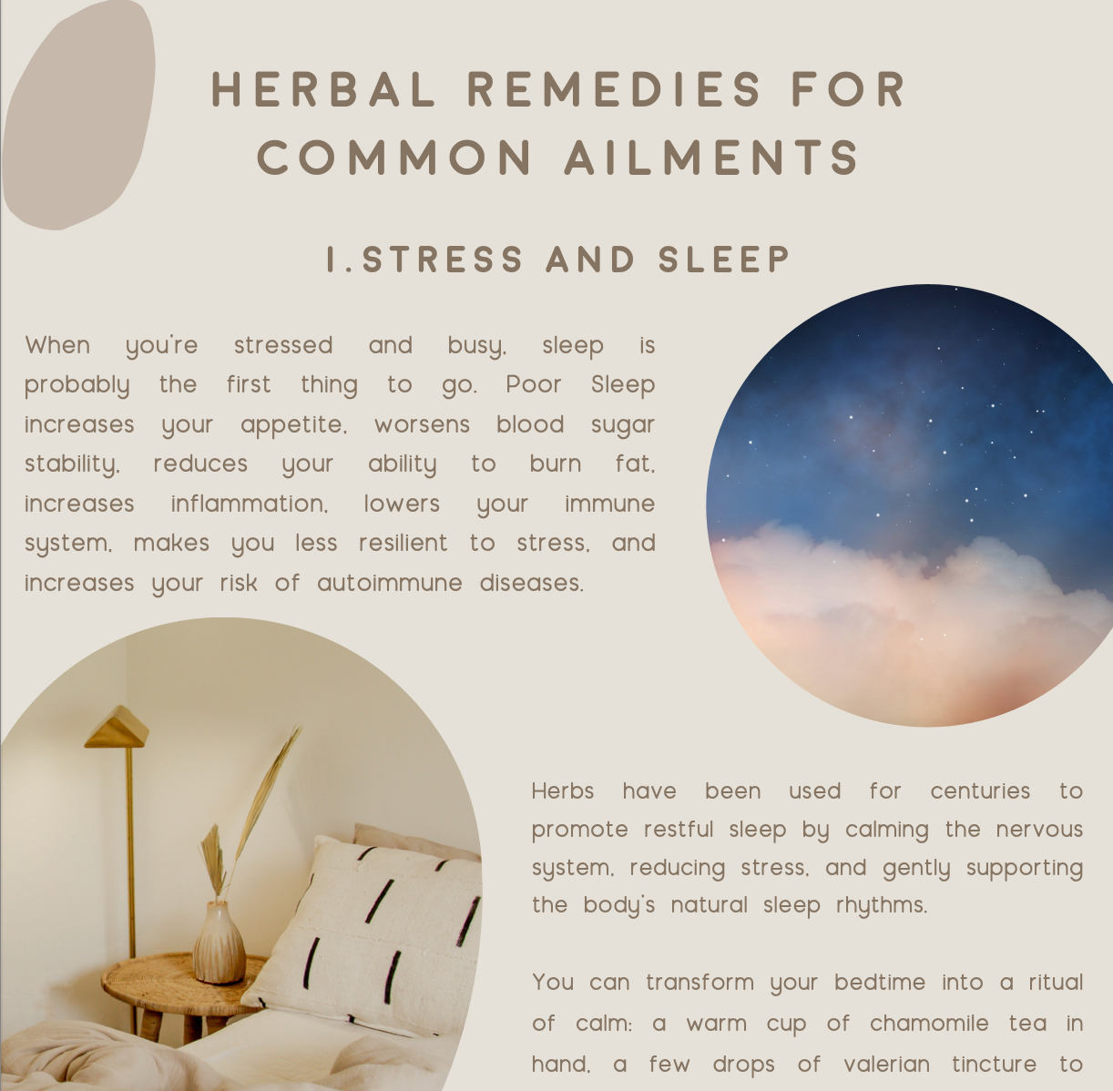 Herbal Remedies for Everyday Ailments E-Book