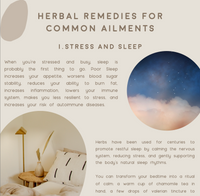 Herbal Remedies for Everyday Ailments E-Book