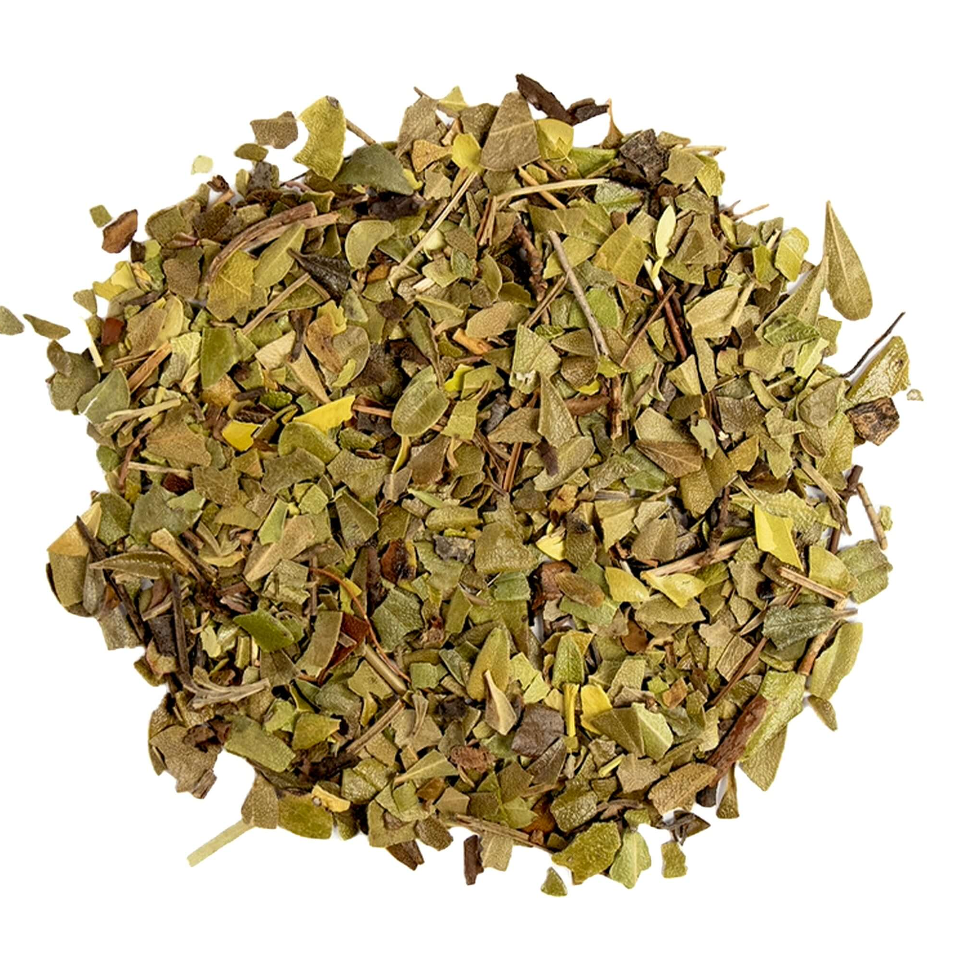 Uva Ursi