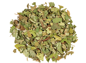 Witch Hazel